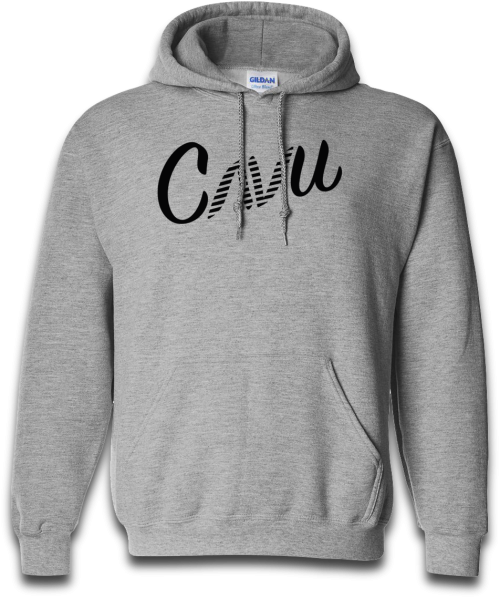 Ladies Grey Hoodie